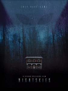 Braund - Les plus grands films que vous ne verrez jamais - affiche Night Skies