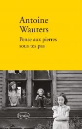 Wauters - Pense aux pierres sous tes pas (pt)