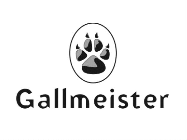 À première vue : la rentrée Gallmeister&nbsp;2020